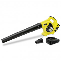 KARCHER Fukár lístia LBL 4...