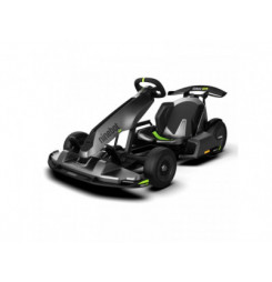 Ninebot by Segway GoKart...