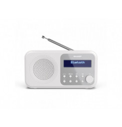 DR-P420WH FM/DAB...