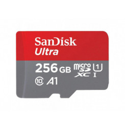 215423 microSDXC 256GB...