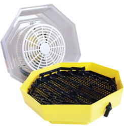 Liahen CLEO 5x2 DT,...