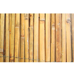 Plot Bambus BSF 1000 mm,...