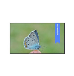BENQ ST5504, LED Panel 55"...