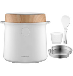 CONCEPT RE3030 Ryžovar