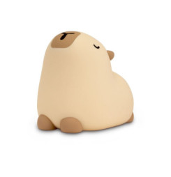 CONNECT IT KAPYBARA, Nočné...