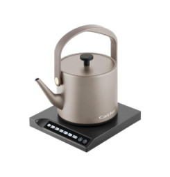 BM 503 Isabella kanvica Catler