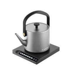 BM 504 Beatrice kanvica Catler