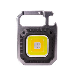 RPL 602 LED svietidlo s...